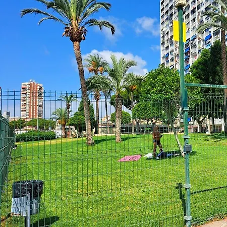 Comfortable With Sea View